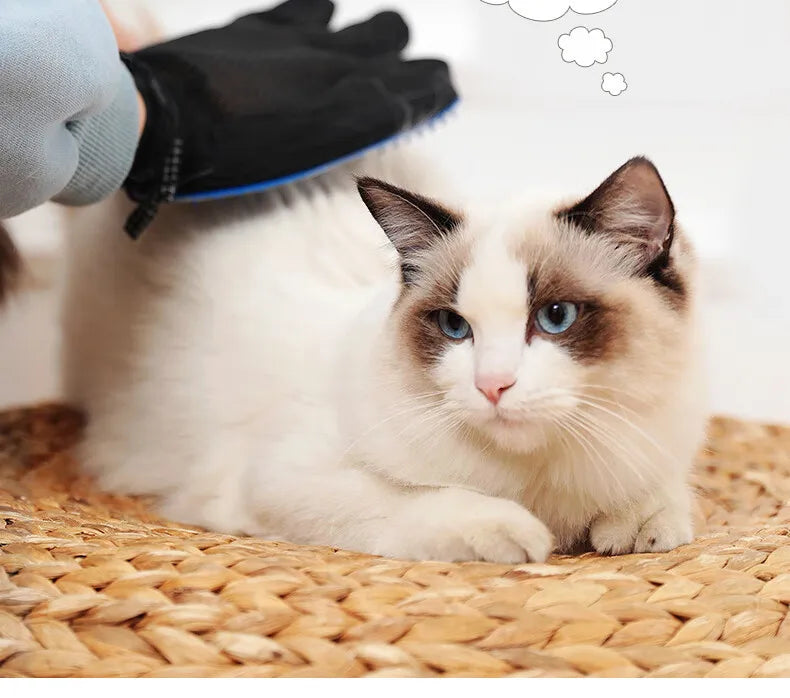Massage pet bathing brush, pet supplies, dog grooming glove, pet bathing glove, cat grooming glove dog supplies cat supplies